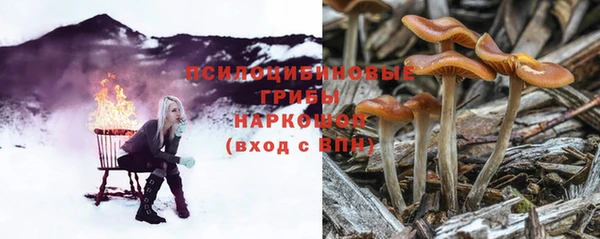 jwh Волосово