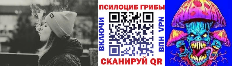 гидра ТОР  Рубцовск  Псилоцибиновые грибы мухоморы 